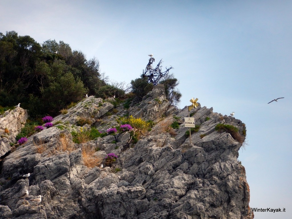 Il Pifferaio, storico "monumento" dell'Isola di Bergeggi, spunta dalla macchia mediterranea in fiore