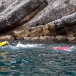 Un nuotatore davanti all'Isola di Bergeggi