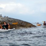 kayak, fun, divertimento, escursioni, liguria, italia, excursions