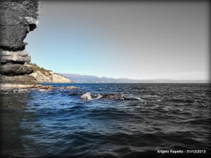 Verso l'Isola di Bergeggi