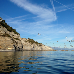 Verso l'isola di Bergeggi