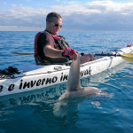 Ecco il pesce luna avvistato a Bergeggi il 20 novembre 2014 da Winterkayak