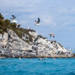 Escursione in Kayak a Bergeggi (Liguria) del 28 febbraio 2015 – Circa 11 Km di outdoor e puro divertimento.