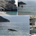 Escursione in Kayak a Bergeggi (Liguria) del 24 Dicembre 2015 – Circa 9 Km. Kayak excursion in Bergeggi (Liguria) of December, 24,  2015 – About 9 Km.