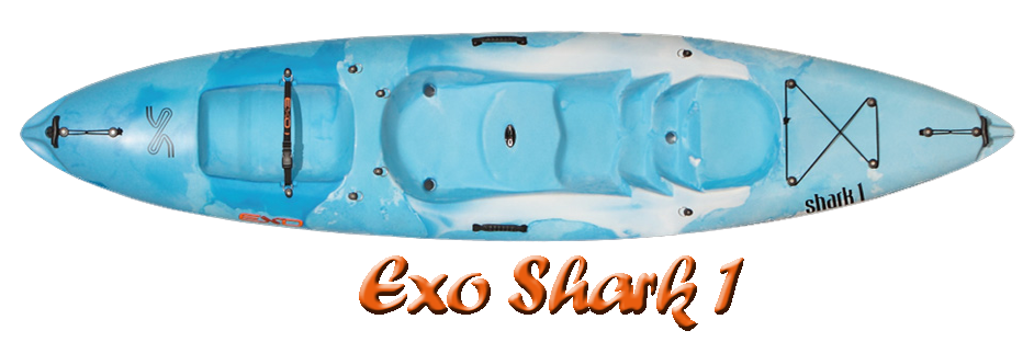 exo shark1