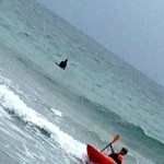 Laigueglia, surf in kayak