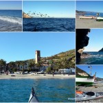 Doppia escursione in kayak in Area Marina Protetta Isola di Bergeggi (Liguria) e Noli del 12 Novembre 2016 – Circa 14 Km.