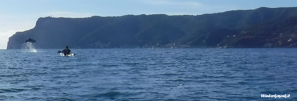 delfini-a-bergeggi