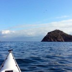 7 Gennaio 2017: iniziamo il nuovo anno! – Circa 11 Km – Kayak excursion in Liguria of January, 7, 2017 – About 11 Km