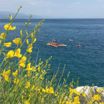 Excursion kayak entre amis vers Savone